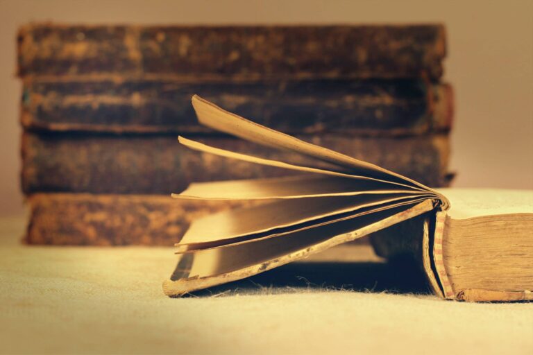 Emotional intelligence the ability to adapt to any environment